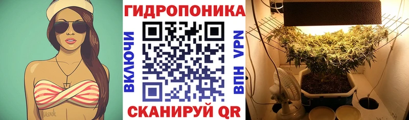 Продажа наркотиков Дубна ГАШИШ Амфетамин Мефедрон СК