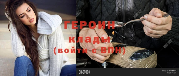 индика Осташков