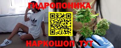 ГАЛЛЮЦИНОГЕННЫЕ ГРИБЫ Малгобек