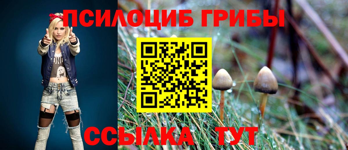Дубна  Галлюциногенные грибы Cubensis  Вход с VPN  Галлюциногенные грибы Magic Shrooms 