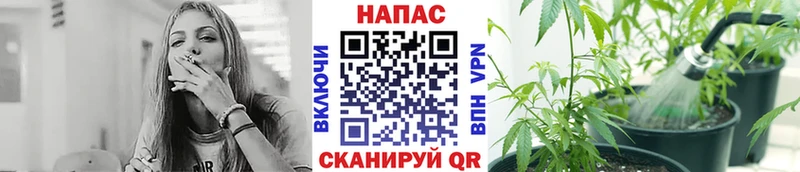 Марихуана индика  omg рабочий сайт  Дубна 